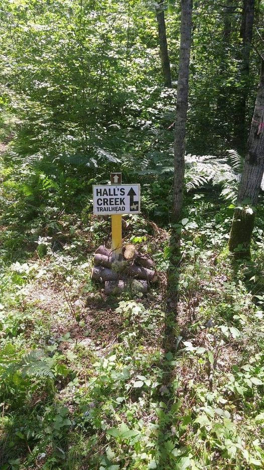 Follow horse signs