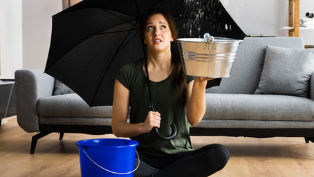 Rénovation Après Dégât des Eaux : Étapes Clés pour une Maison Comme Neuve