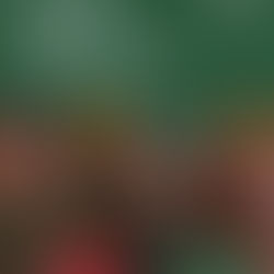 CLEARLY INVINCIBLE Q1 2026 HIGHLIGHTS