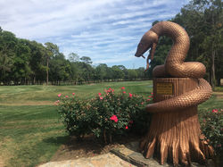 Copperhead at Innisbrook