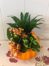 Fall Pumpkin Planter