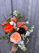 IMG_5816.jpeg
