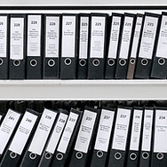 Organized Files