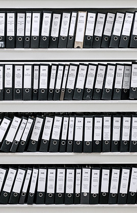 Arquivos organizados