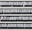 Organized Files