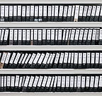 Organized Files
