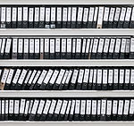 Archivos organizados