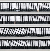Organized Files