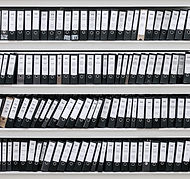Organized Files
