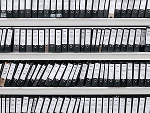Archivos organizados
