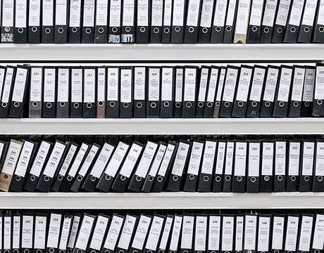 Archivos organizados