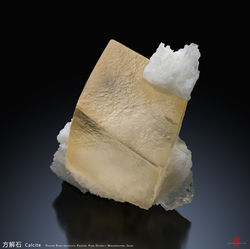Wish Wang - E27BEE31-103D-4303-8A7D-B26D