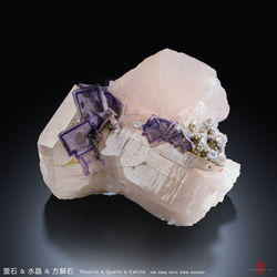 Wish Wang - 2B525091-6C94-4E1B-91D1-725F