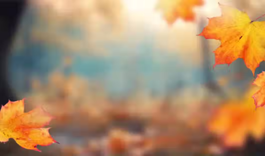 Sean John Photography South Jersey Photographer Fall Autumn Background