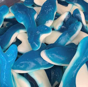 Giant Dolphins.jpg