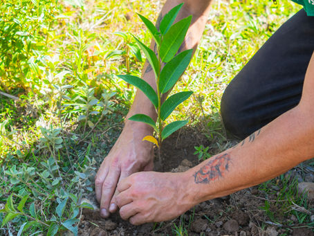 VIRADA AMBIENTAL EM ITABIRITO