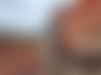 Blitz de Prevenção de Atropelamento de Fauna