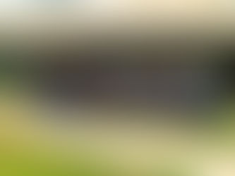 Expansão do Grupo Avante: Recentes Inaugurações refletem o Crescimento da Empresa