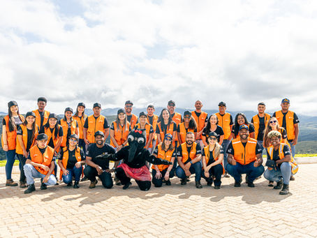 Todos Contra a Dengue