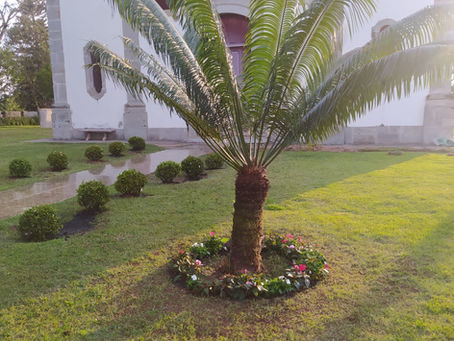 Apoio e Fortalecimento das Demandas Locais