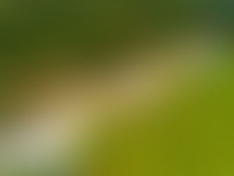 Inauguração de Praça na Comunidade do Maracujá