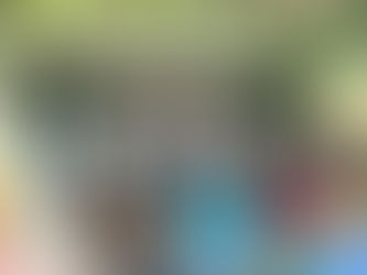 Balanço do Projeto Meu Lugar