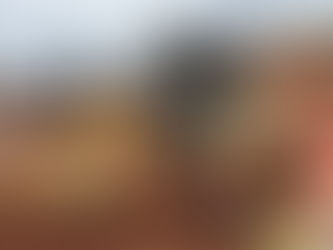 Pilar Meio Ambiente promove Blitz Educativa para Prevenir Atropelamento de Animais