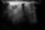 039_Dveloc03