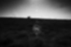 062_Dveloc26