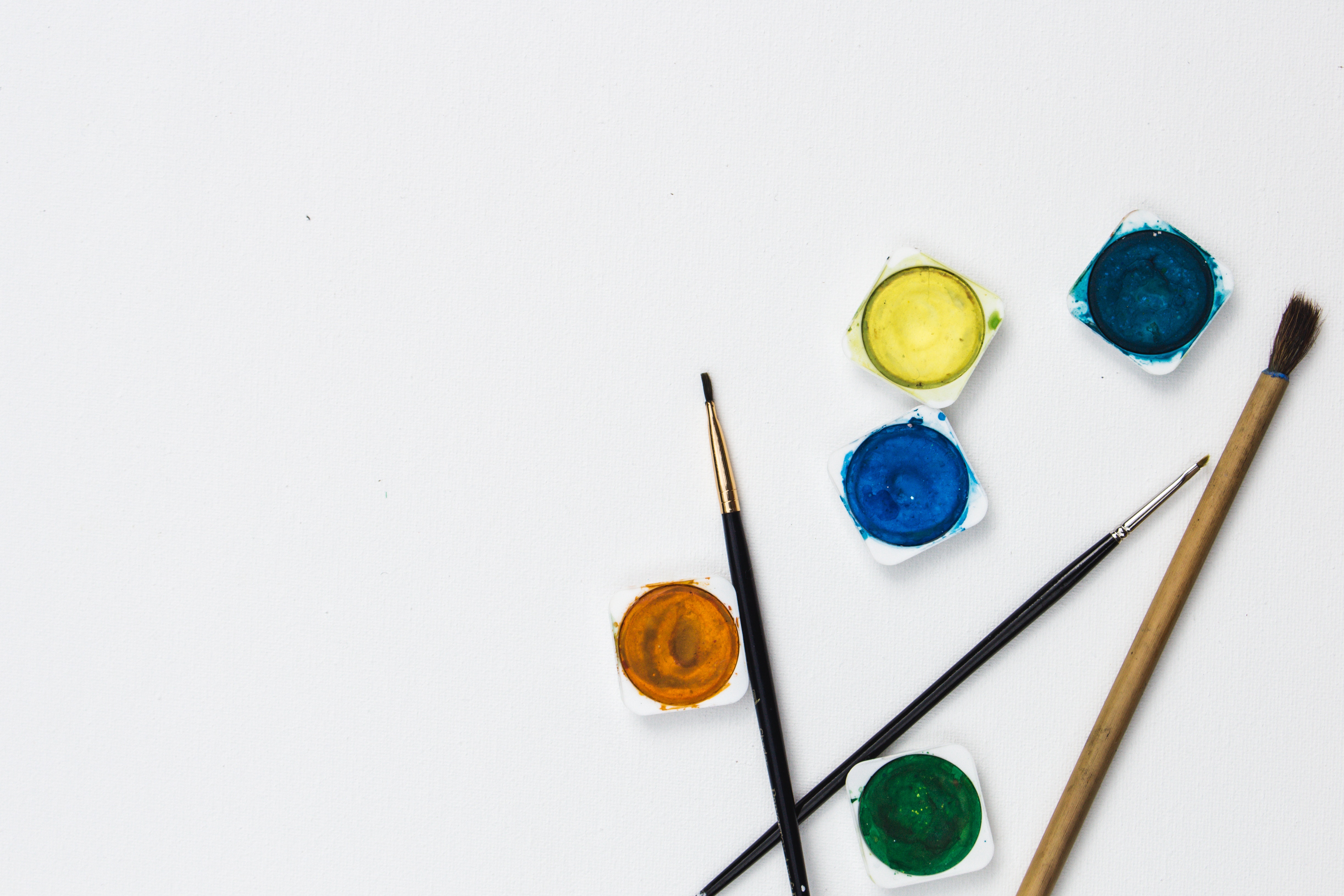 Wine & Painting Experience