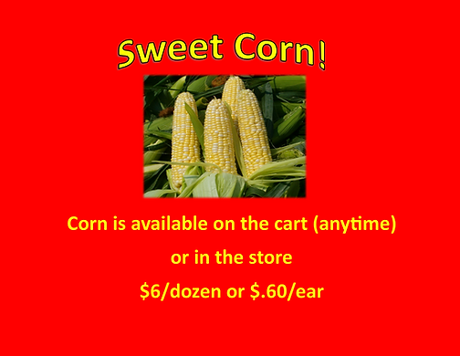 Sweet Corn.png