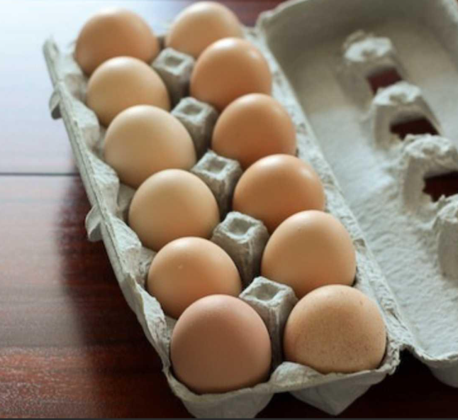 eggs