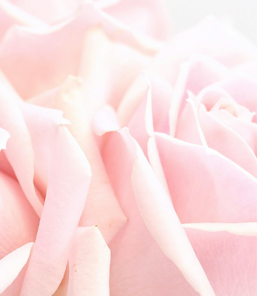 pexels-jessbaileydesign-1167050_edited_edited.png