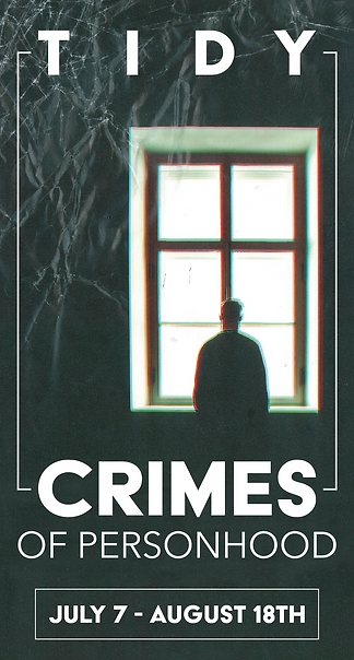 Tidy_Crimes_Banner_resize.png