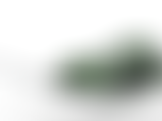 Introducing Photorealistic Rendering on the Sayduck Platform