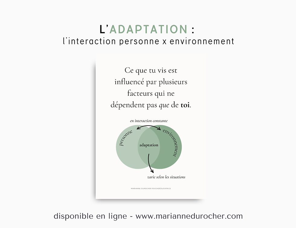 Affiche sur l’adaptation en psychoéducation : interaction entre l’environnement et la personne