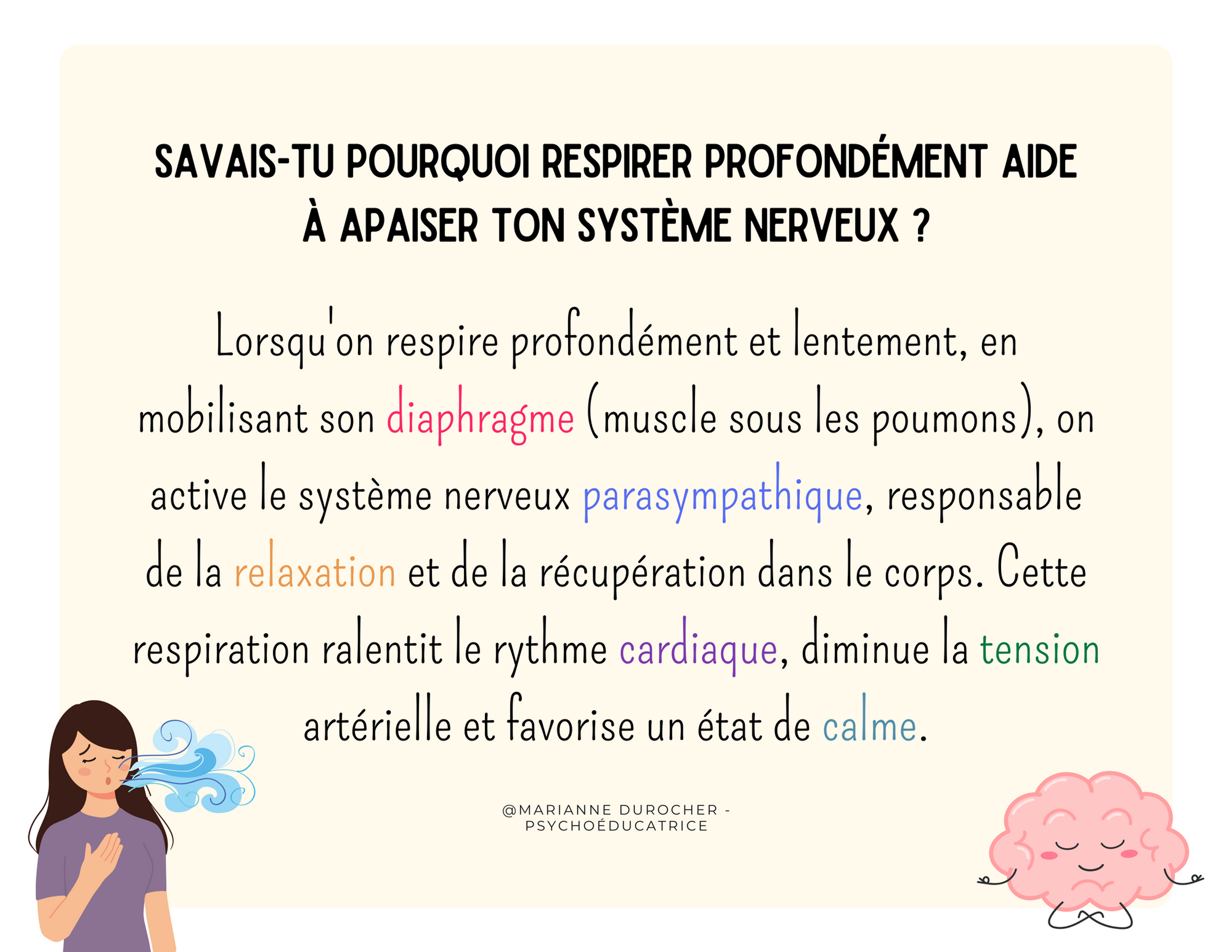 Infographique sur les bienfaits de la respiration profonde pour réguler mon système nerveux et m'apaiser.