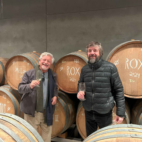 Learning about Terroir at Bernabeleva with Juan Díez Bulnes