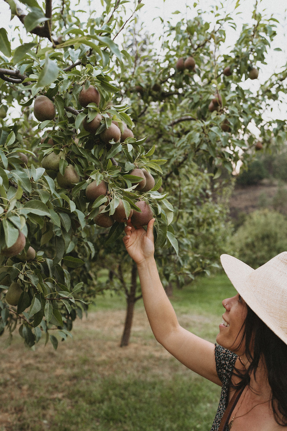 The Vault Stock -11545.jpg