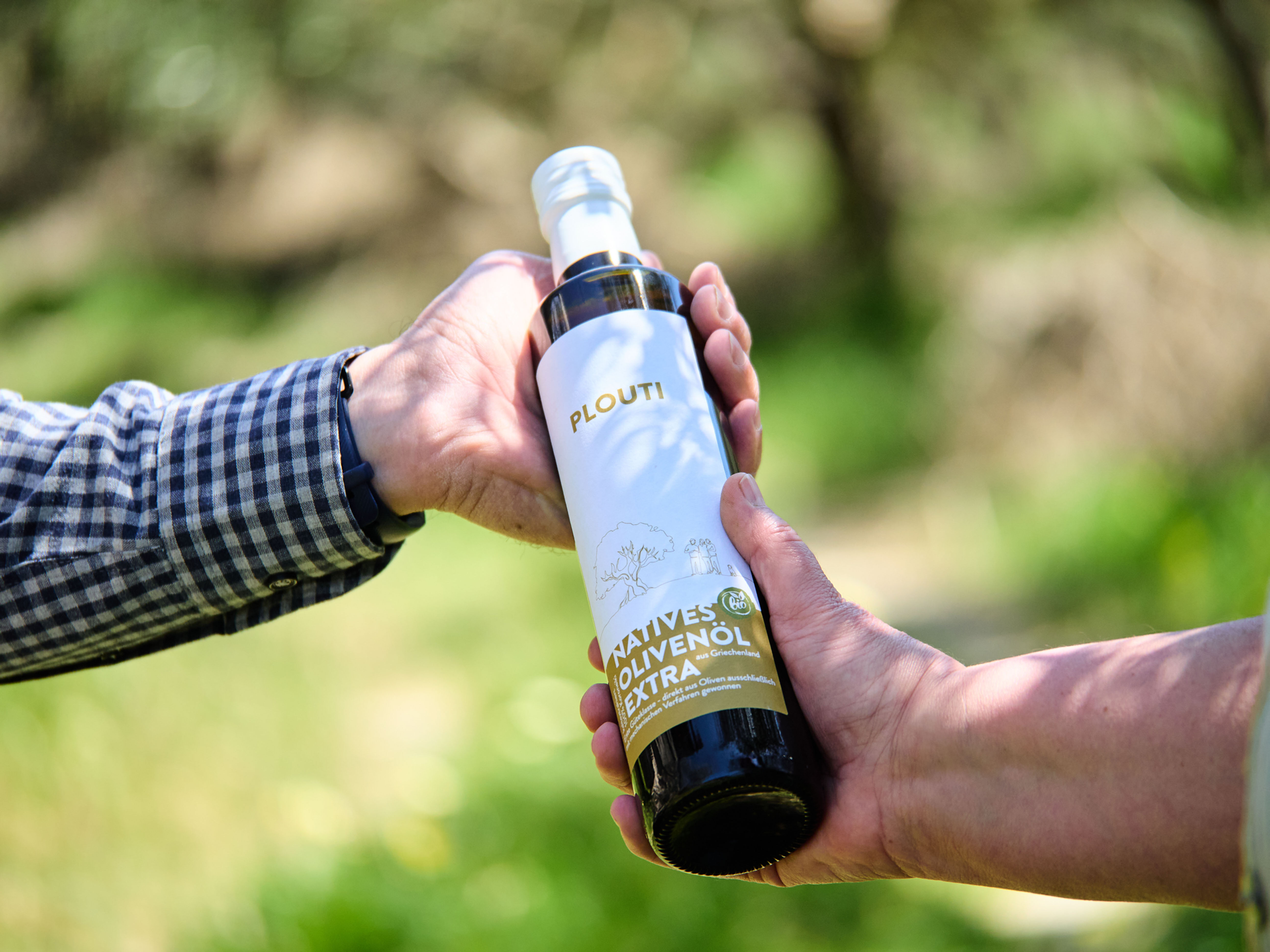 Olivenbaum Patenschaft 2026