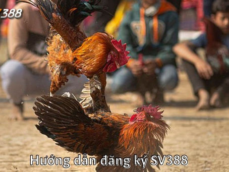Đăng ký SV388 - Hướng dẫn tạo tài khoản SV388 đá gà nhận 100% tiền nạp