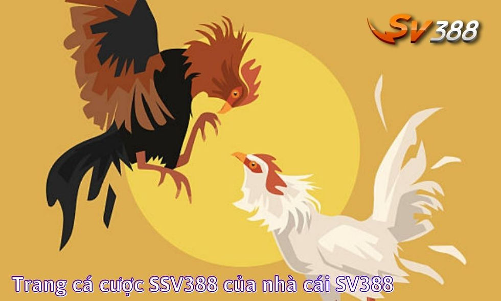 Trang cá cược SSV388 của nhà cái SV388