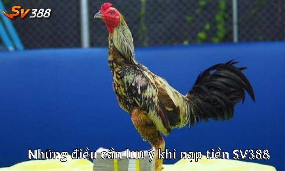 Những điều cần lưu ý khi nạp tiền SV388