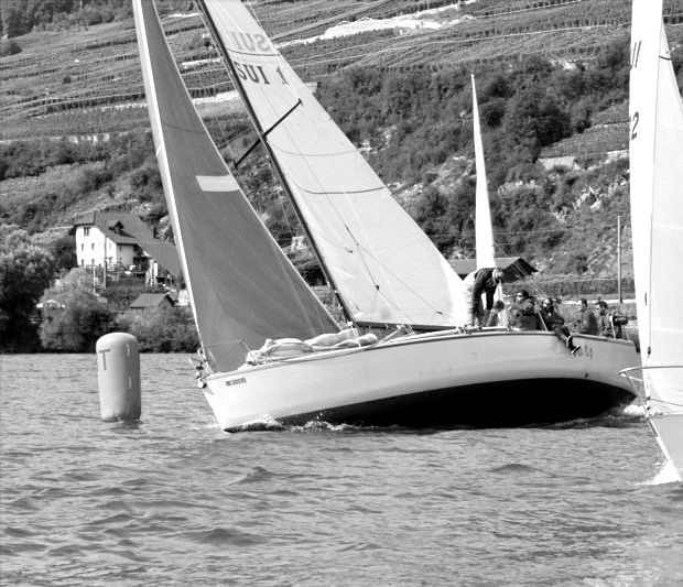 Abendregatta Red Eye