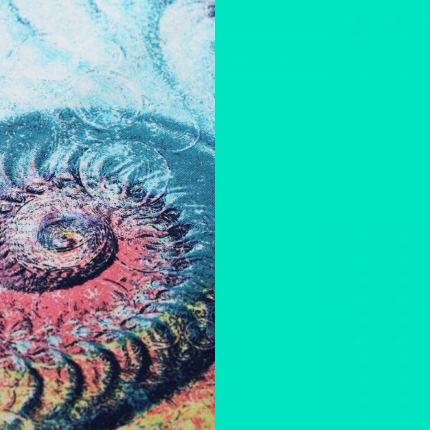 Seashell/Marine