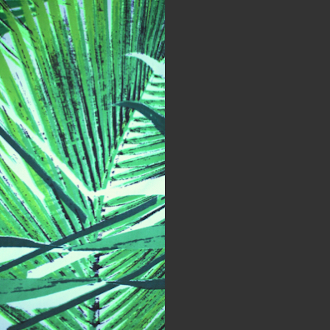 Jungle Palm/Charcoal