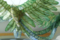 2015_BARCELO_PALACE DE LUXE_MFP_15