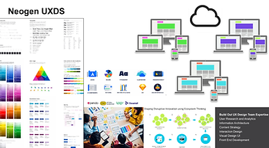 Design System audit as part of define-design-develop framework.