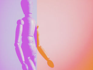 THE BODY KNOWS (in development)