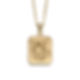 _0006_tiger_dog_tag_gp2259.jpg